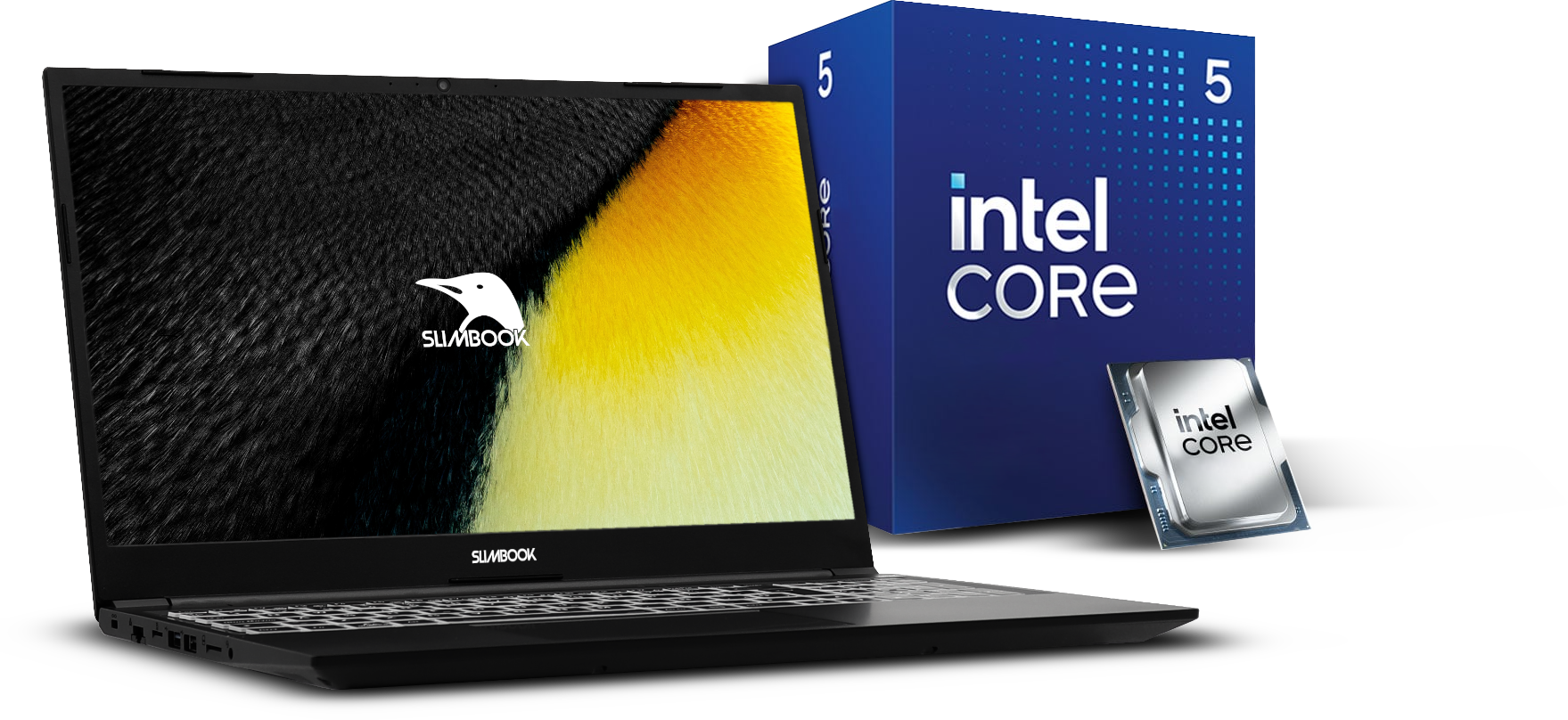 Odoo • Imagen y texto