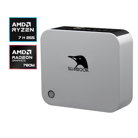 One AMD Ryzen 7 H 255